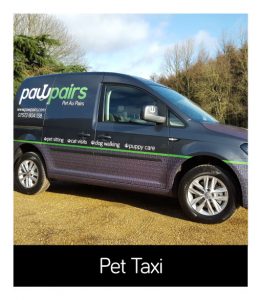 pet taxi wandsworth