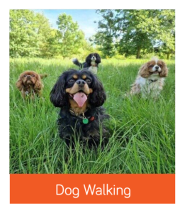 dog walking Wandsworth button