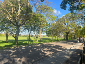 Tooting Bec common dog walks