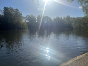 Tooting Bec common lake